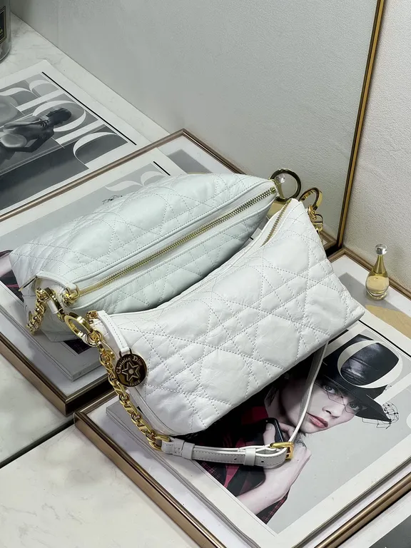 Dior Bag 